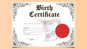 The Ins and Outs of Obtaining a Birth Certificate Apostille