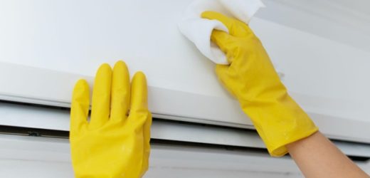 How has Technology Advanced Pest Control Methods in Geelong, and What Innovative Tools Are Used to Eliminate Pests?